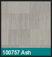 100757 Ash